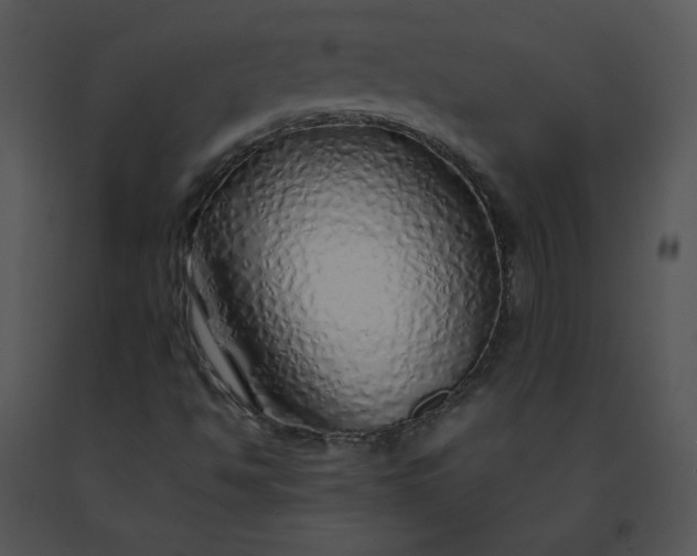 X0000091531494200708311259