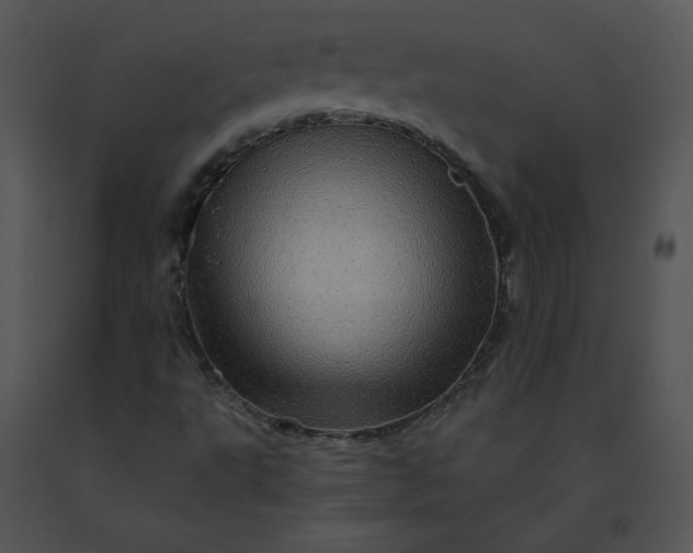 X0000091531495200708311259