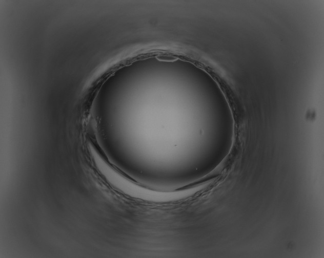 X0000091531496200708311259