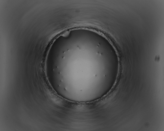 X0000091531497200708311259