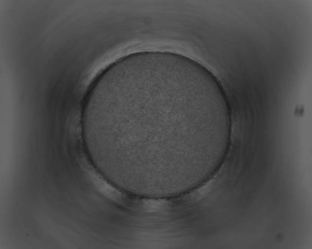 X0000091531498200708311259