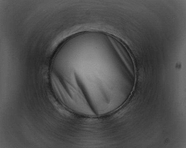 X0000091531499200708311259