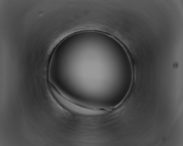 X0000091531500200708311300