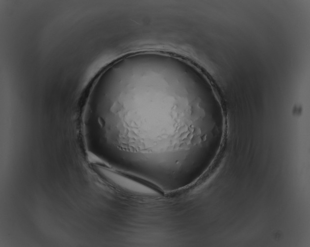 X0000091531501200708311300