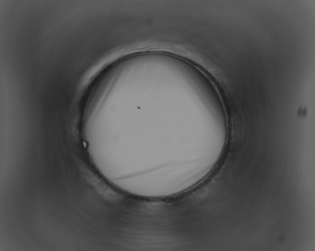 X0000091531502200708311300