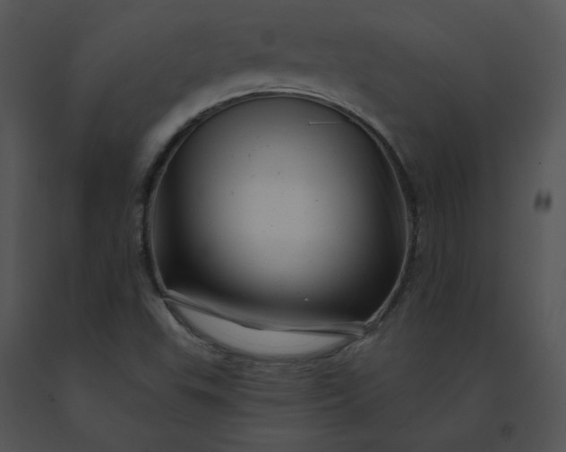 X0000091531503200708311300