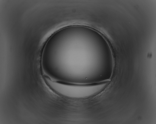 X0000091531504200708311300