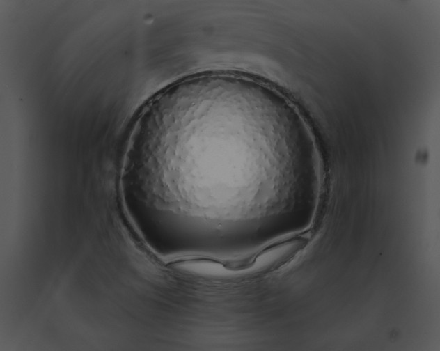 X0000091531505200708311300