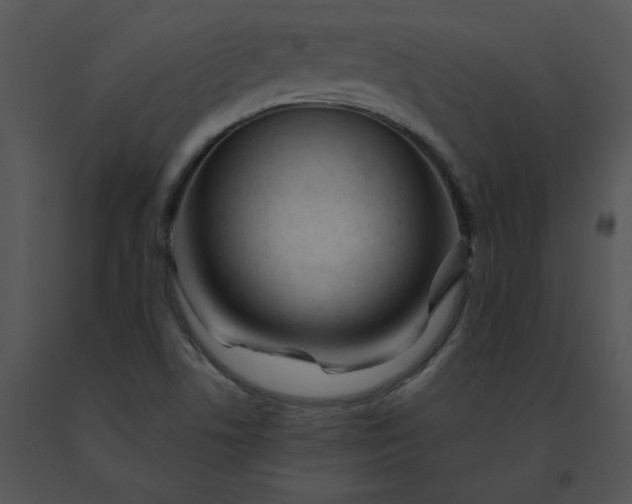 X0000091531506200708311300