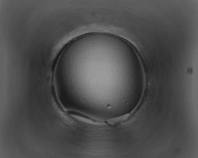 X0000091531507200708311300