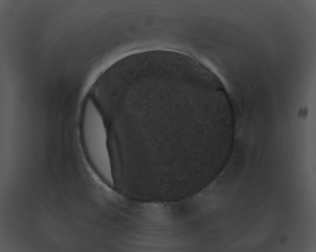X0000091531508200708311300