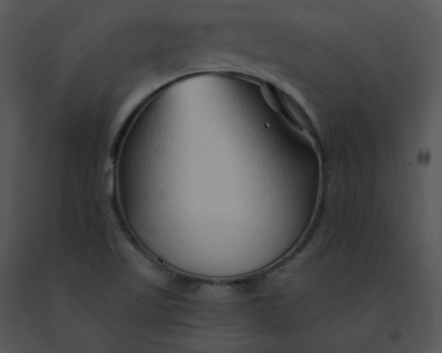 X0000091531509200708311300