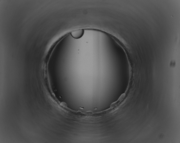 X0000091531510200708311300