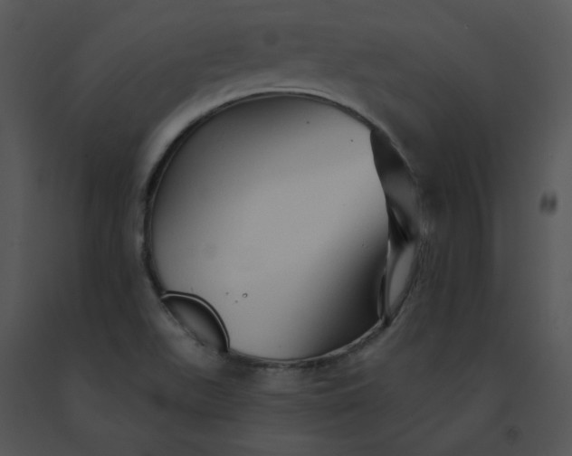 X0000091531511200708311300