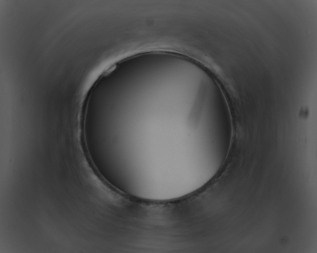 X0000091531512200708311300