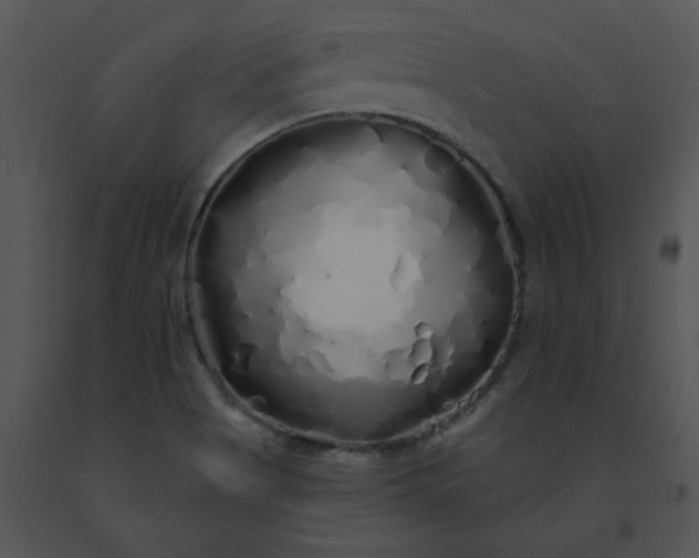 X0000091531513200708311300