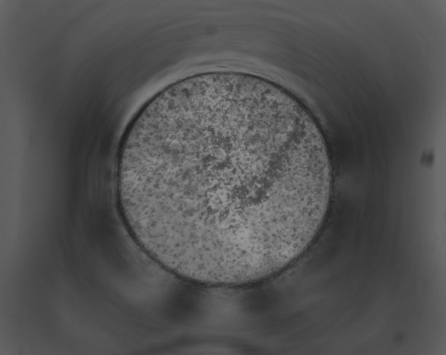 X0000091531514200708311300