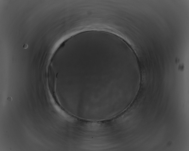 X0000091531515200708311300