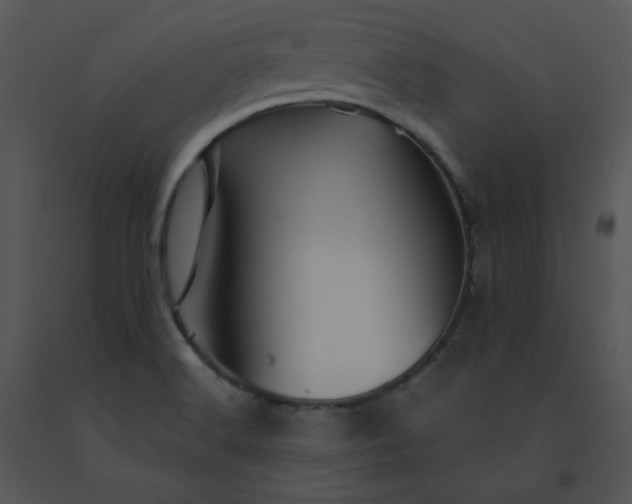 X0000091531516200708311300