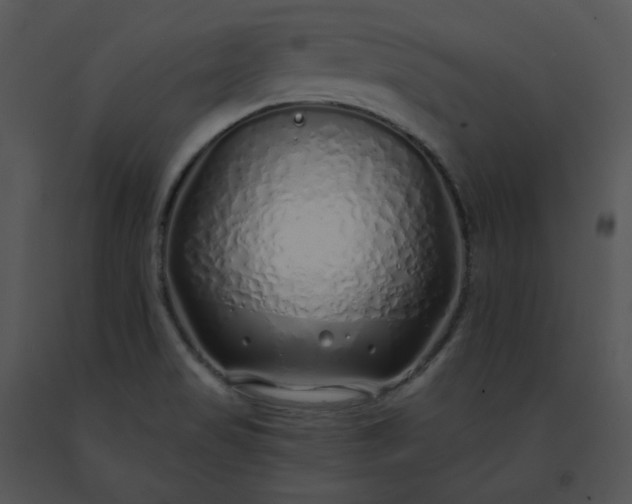 X0000091531517200708311300