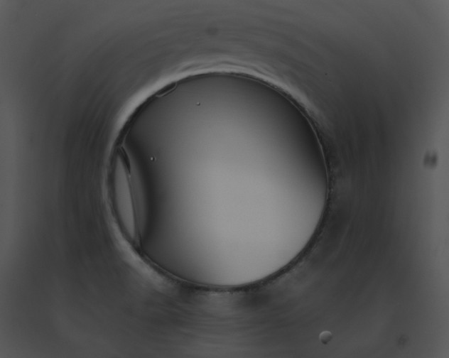 X0000091531518200708311300