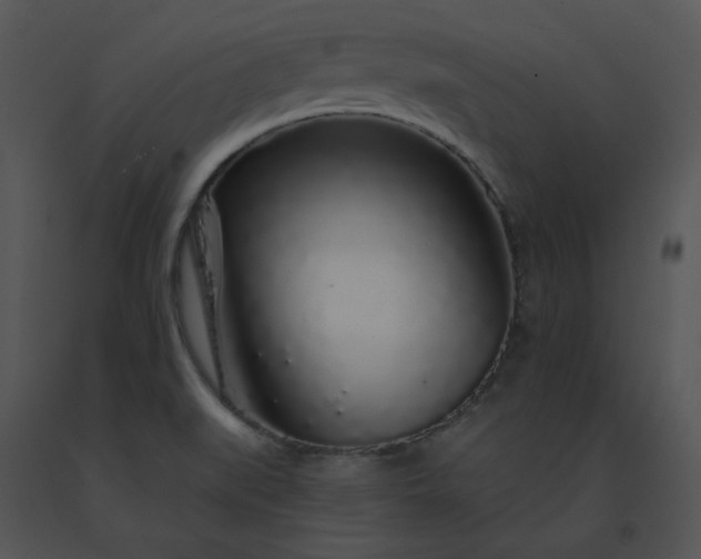 X0000091531519200708311300