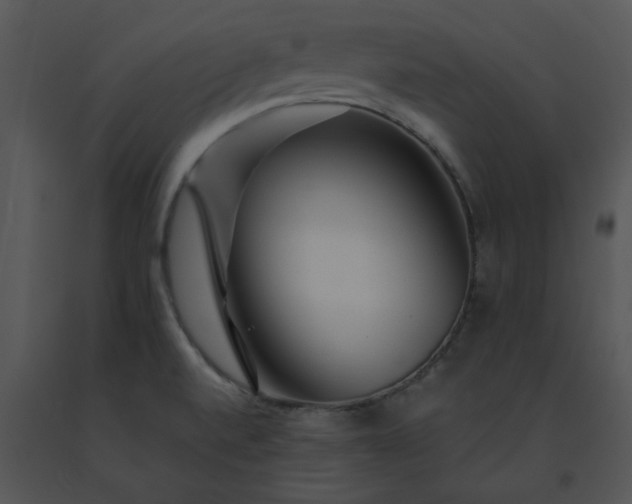 X0000091531520200708311300