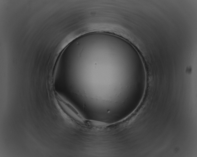 X0000091531521200708311300