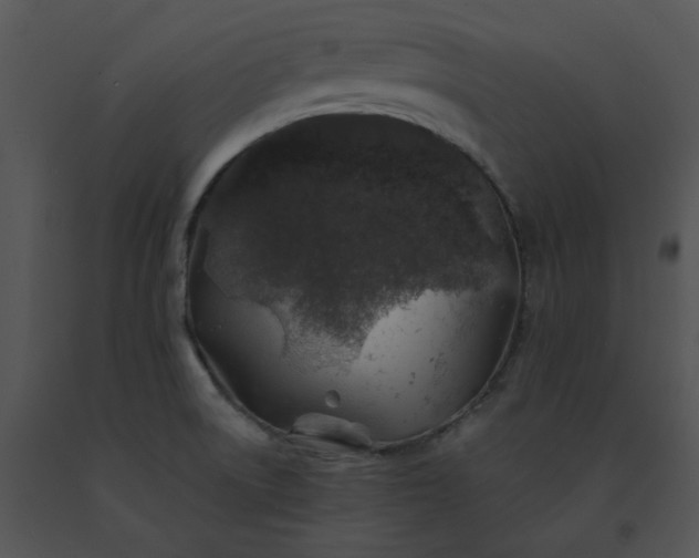 X0000091531522200708311300