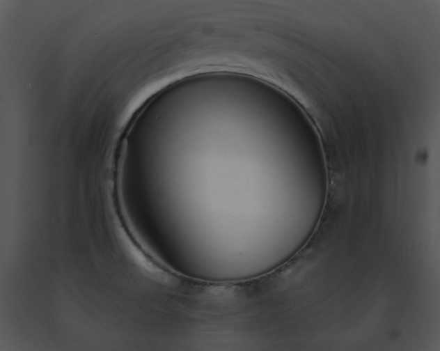 X0000091531523200708311300