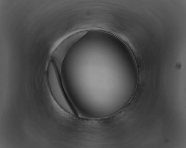X0000091531524200708311300