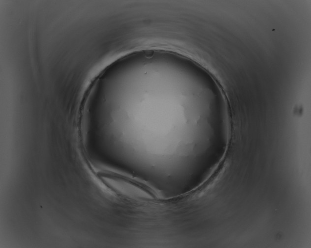X0000091531525200708311300