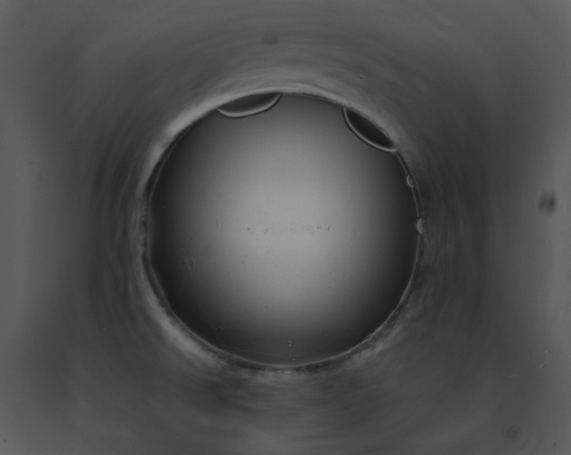 X0000091531526200708311300