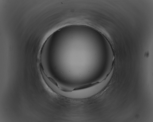 X0000091531528200708311300