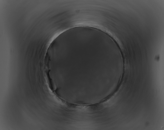 X0000091531529200708311300