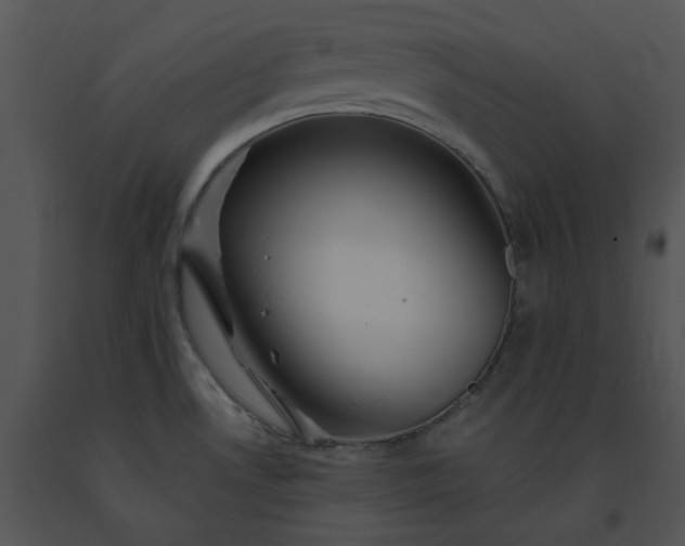 X0000091531530200708311300