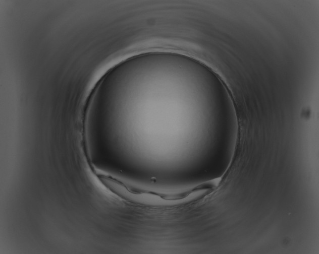 X0000091531531200708311300