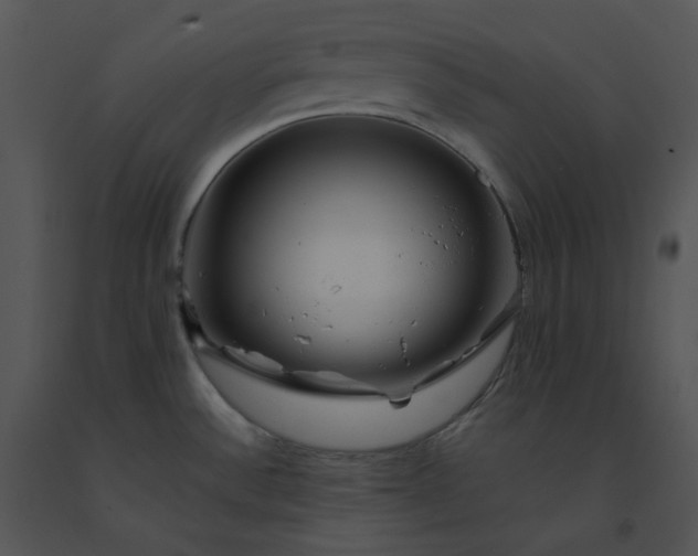 X0000091531532200708311300