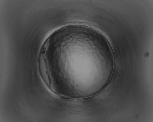 X0000091531533200708311300
