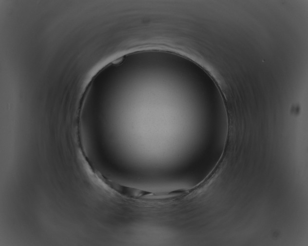 X0000091531534200708311300