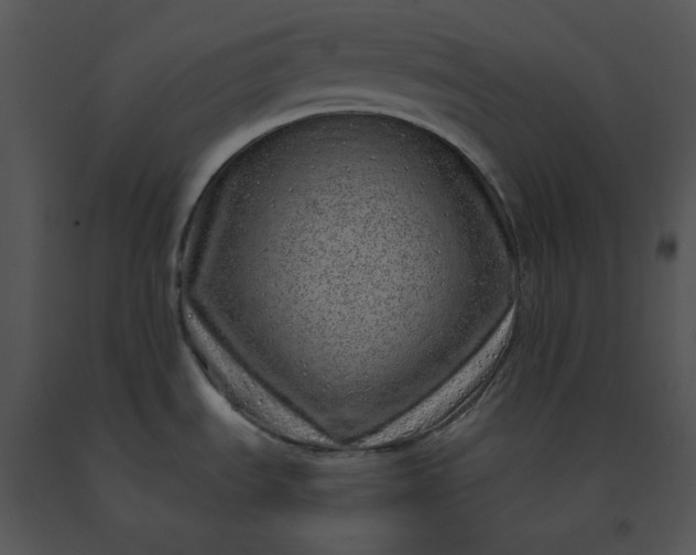 X0000091531535200708311300