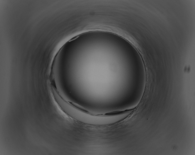 X0000091531536200708311300