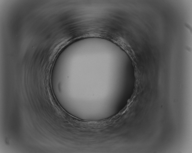 X0000091530001200709071051