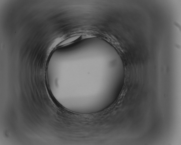 X0000091530003200709071051