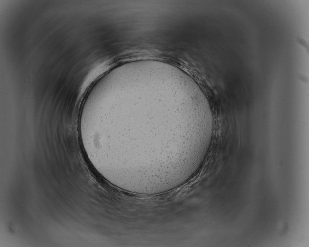 X0000091530004200709071051