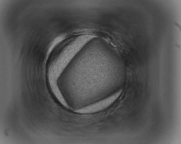 X0000091530006200709071051