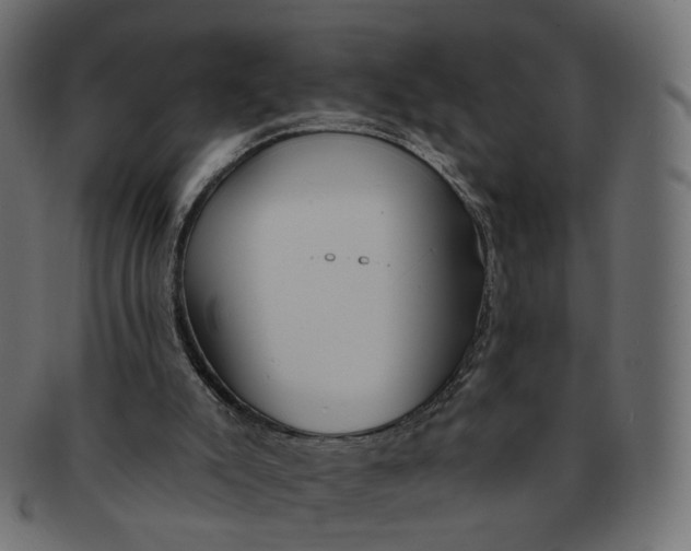 X0000091530007200709071051