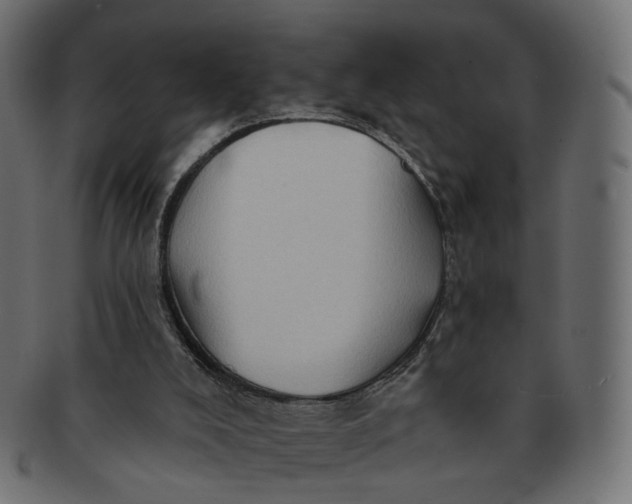 X0000091530008200709071051