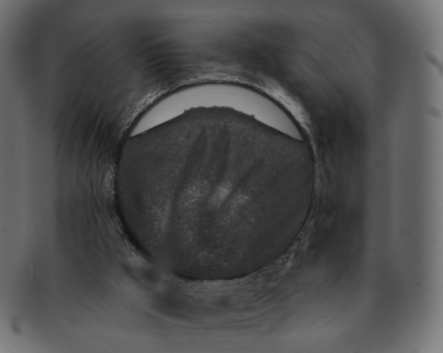 X0000091530009200709071051