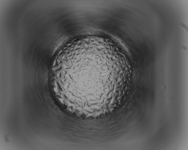 X0000091530010200709071051